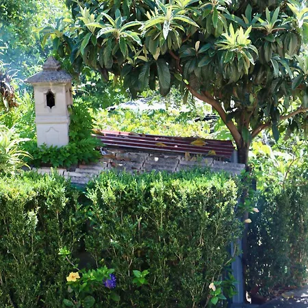 Mountain View * São Vicente