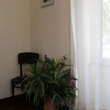 圣维森特度假屋