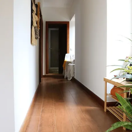 圣维森特度假屋 *