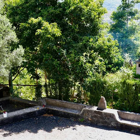 Mountain View * São Vicente