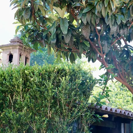 Dom wakacyjny Mountain View *